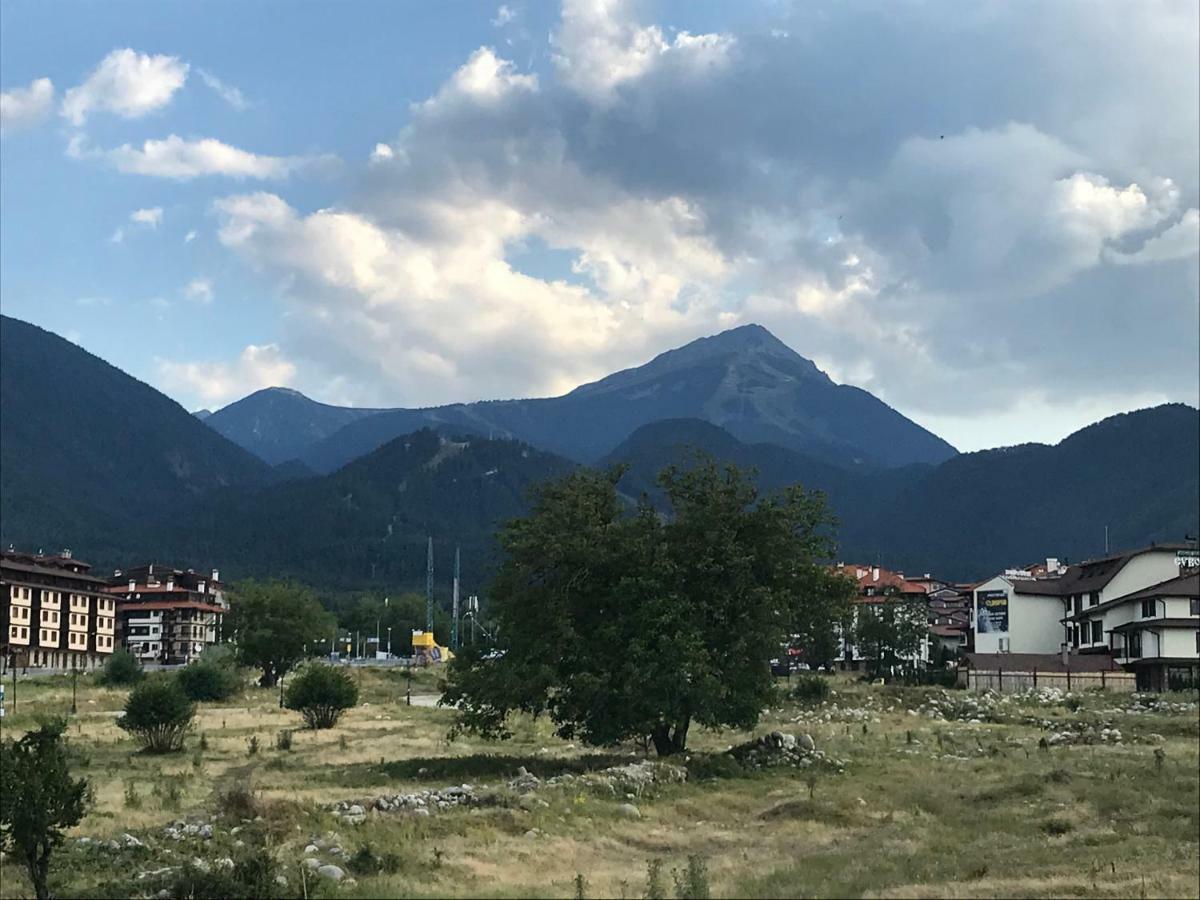 Aparthotel Vista Top Lodge Bansko Bagian luar foto